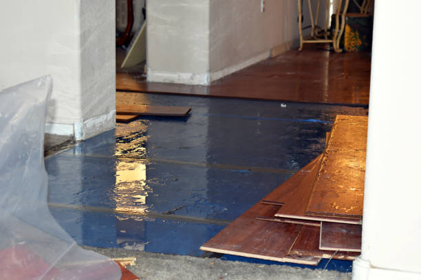 Professional Water Damage Restoration technician working in Chepachet, RI
